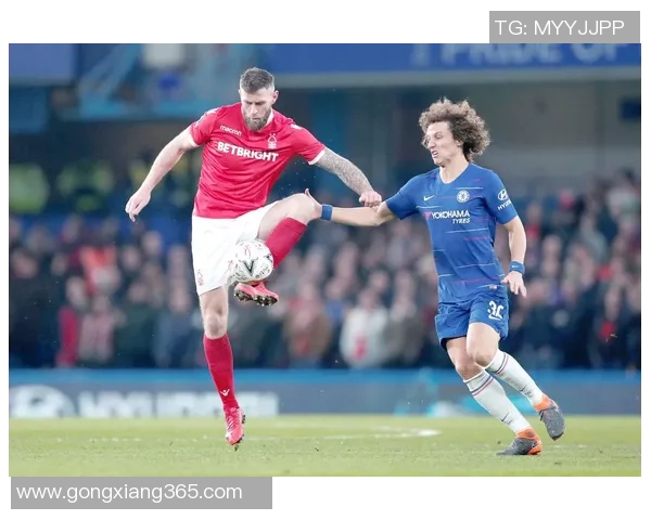 欧联杯焦点战：里昂与利物浦激战成和数据分析揭示比赛亮点