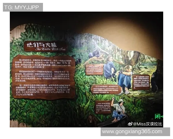 姚明探秘贵州山洞的奇幻之旅与文化传承的深度思考