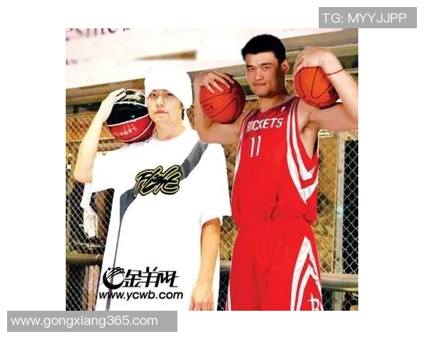 姚明邮箱联系方式查询及相关信息分享