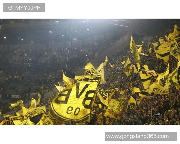 多特蒙德逆转波尔图绝杀时刻震撼全场赛后深度解析